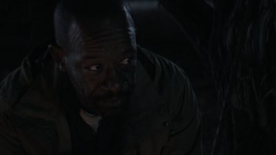 ftwd408_2617.jpg