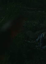 ftwd408_0085.jpg