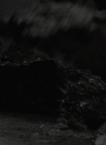 ftwd408_1426.jpg