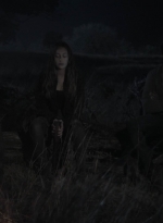 ftwd408_2003.jpg
