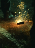 ftwd408_2462.jpg