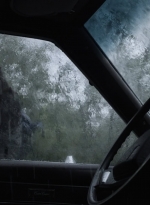 ftwd410_0513.jpg