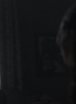 ftwd410_0784.jpg