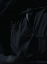 ftwd411_2051.jpg