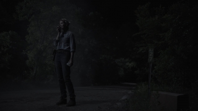 ftwd412_2272.jpg