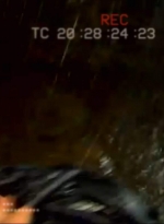 ftwd501_2548.jpg
