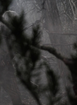 ftwd507_0207.jpg