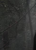 ftwd507_0212.jpg