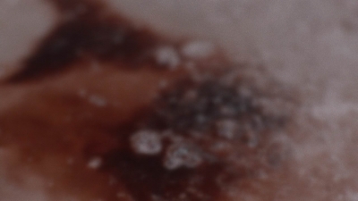 ftwd508_0277.jpg