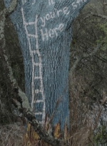 ftwd508_1191.jpg