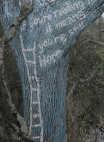 ftwd508_1192.jpg