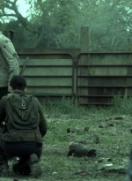 ftwd509_1386.jpg
