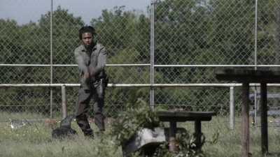 ftwd511_1539.jpg