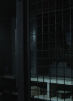 ftwd511_1445.jpg