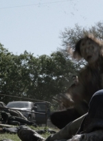 ftwd511_1551.jpg