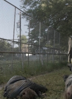 ftwd511_1556.jpg