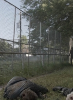 ftwd511_1557.jpg