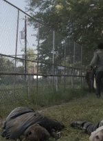 ftwd511_1560.jpg