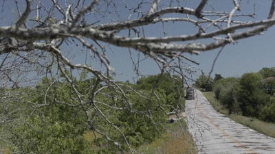 Click to view full size image
==============
ftwd513_0116.jpg ftwd513_0116.jpg