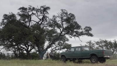 ftwd513_0626.jpg