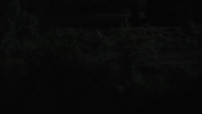 ftwd513_1785.jpg