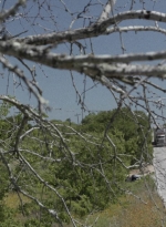 ftwd513_0116.jpg