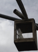 ftwd513_0337.jpg