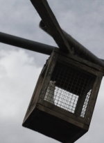 ftwd513_0338.jpg