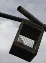 ftwd513_0339.jpg