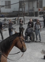 ftwd513_2240.jpg