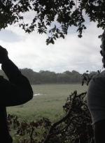 ftwd516_0936.jpg