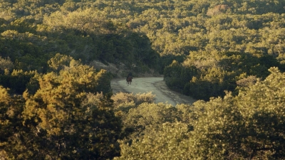 Click to view full size image
==============
ftwd601_scnet_2533.jpg ftwd601_scnet_2533.jpg
