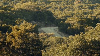 Click to view full size image
==============
ftwd601_scnet_2538.jpg ftwd601_scnet_2538.jpg