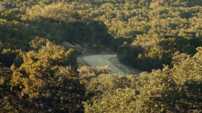 ftwd601_scnet_2540.jpg