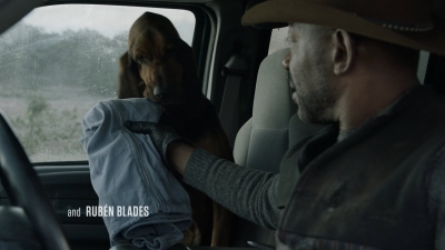 Click to view full size image
==============
ftwd604_scnet_0372.jpg ftwd604_scnet_0372.jpg