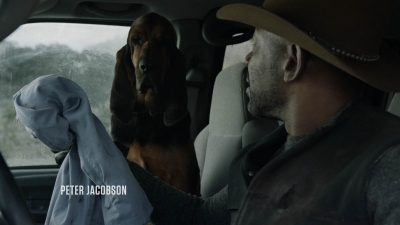 Click to view full size image
==============
ftwd604_scnet_0379.jpg ftwd604_scnet_0379.jpg