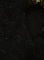 ftwd604_scnet_1229.jpg