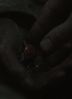 ftwd604_scnet_1286.jpg