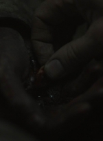 ftwd604_scnet_1288.jpg