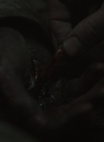 ftwd604_scnet_1289.jpg
