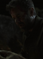 ftwd604_scnet_1293.jpg