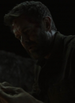 ftwd604_scnet_1295.jpg