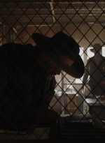 ftwd604_scnet_1384.jpg