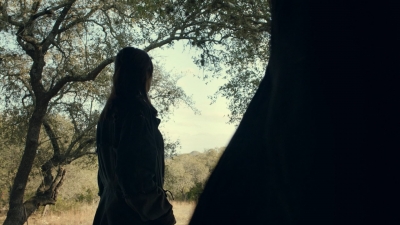 ftwd616_scnet_0716.jpg