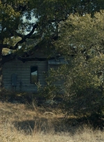 ftwd616_scnet_0673.jpg