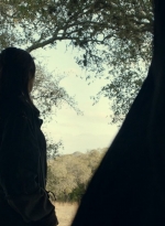 ftwd616_scnet_0716.jpg