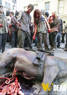 Click to view full size image
==============
S01E01 - Days Gone Bye
S01E01 - Days Gone Bye