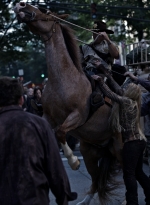 Filename=the-walking-dead-s01e01-days-gone-bye-024.jpg
Filesize=1700KiB
Dimensions=2048x1365
Date added=May 03, 2019 the-walking-dead-s01e01-days-gone-bye-024.jpg