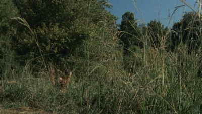 Click to view full size image
==============
twd2x08_0393.jpg twd2x08_0393.jpg