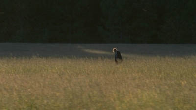 twd2x10_1091.jpg